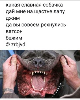 272821C1-0A45-4691-9A07-77D230A297D2.jpeg