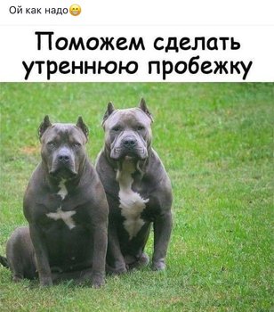 9700E6C0-D17A-4D2C-8100-A315E9B05295.jpeg
