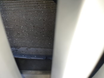 20190707_155223.jpg