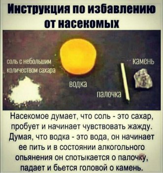 F62C02CD-99D0-468A-8371-7B39D3575160.jpeg