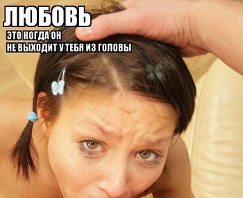 13227326.jpg