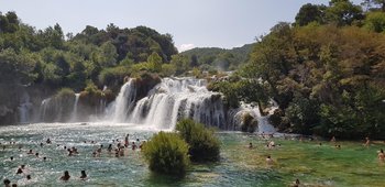 20180803_104408 (Copy).jpg