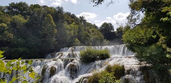 20180803_105747 (Copy).jpg