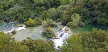20180803_110359 (Copy).jpg