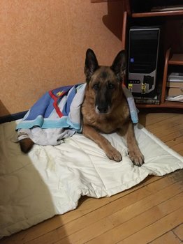 IMG-20190710-WA0043.jpg