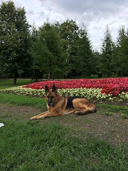 IMG-20190711-WA0051.jpg