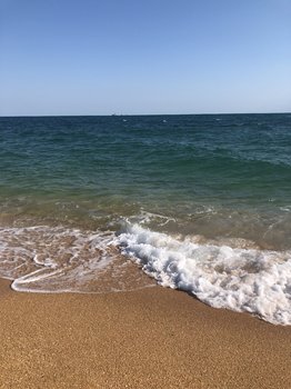 CE10E692-0B0B-44AB-B237-87A252E8E5F8.jpeg