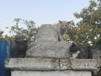 77C96857-6984-4757-8AA4-E57F078D7AB0.jpeg