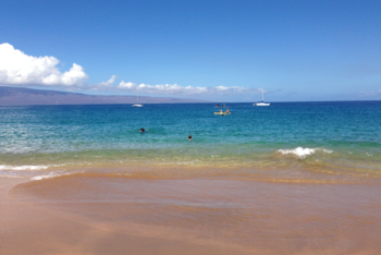 hawaii beach.PNG