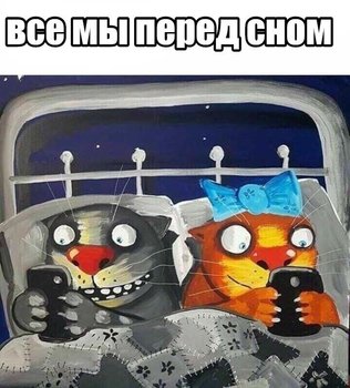 26EB4200-2711-43D9-953C-7694DCDA2763.jpeg