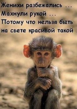 D0ACF6B0-2CAD-4FEA-959E-C4964898BBAA.jpeg