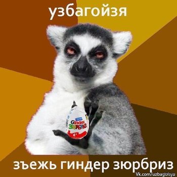 1379958189_1520363609.jpg
