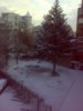 02112009231.jpg