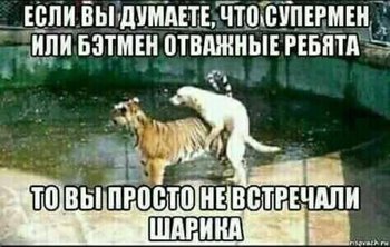 1A0B3E46-1367-4B9B-9EF3-C709FE0D9FB3.jpeg