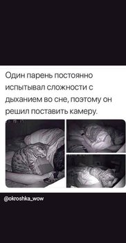 237CB5C0-280F-4B8D-BE1D-9CBEA0816076.jpeg
