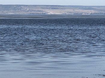 0CA06F54-760B-4696-8D13-3FA95D217F1B.jpeg
