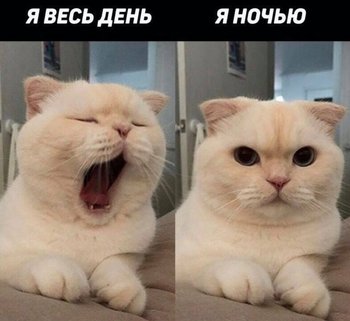 9B6788A0-613A-4C9A-BA62-1472C9CF2347.jpeg