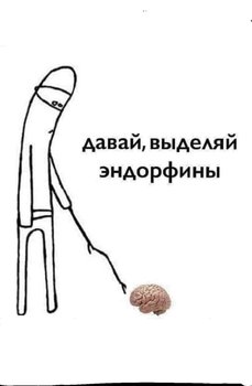 29CBF20F-7BF8-446F-90F5-A49A68F23298.jpeg