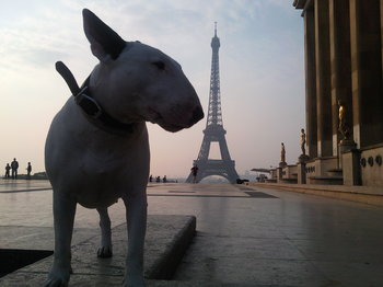 C3B6CFAB-7C37-47A1-867B-2708E66756D1.jpeg