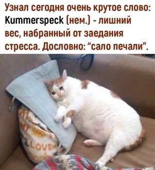 25313872-1727-47F2-8CA0-561C981A5EB3.jpeg