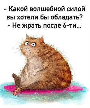 6EA21559-9558-4F80-8E92-AC769DB5A87F.jpeg