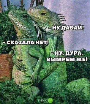 A1F61848-4F72-43DC-8356-672BB36314CC.jpeg