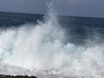 91F56214-03AE-4C3A-A412-E757D01F5BD7.jpeg