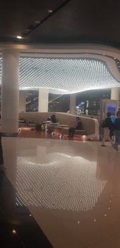 20190329_063153.jpg