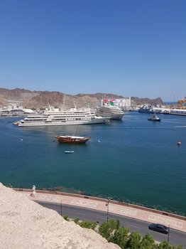 20190501_091340.jpg