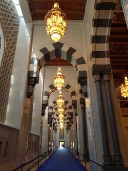 20190501_074948.jpg