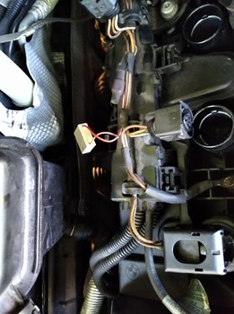 IMG_20190828_112256[1].jpg