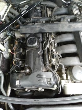 IMG_20190830_125343[1].jpg