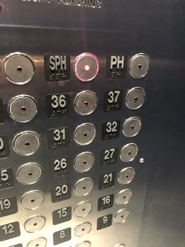 81D8B7ED-0A00-4A4F-B2BF-973D0AD25771.jpeg