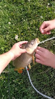 IMG_20190608_150248[1].jpg