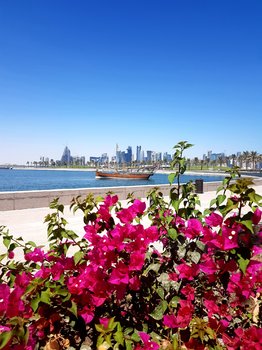 20191006_115421.jpg