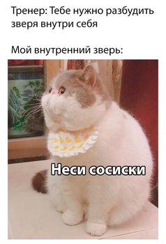 C278720C-8F75-4F06-89A1-F6EAF0EAB70C.jpeg
