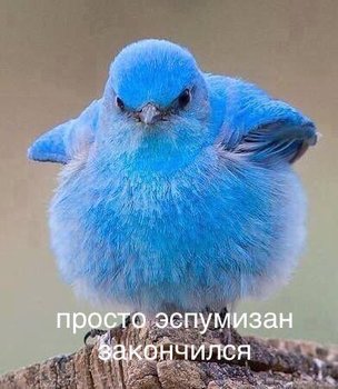 E39FFF28-2F8F-461B-9D76-A3F9298F75E9.jpeg