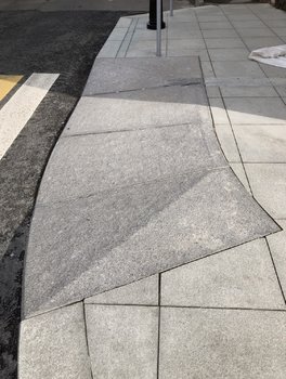 AD5D0325-C709-4F6C-B995-D39E254ED7A3.jpeg
