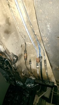 5990202s-960.jpg