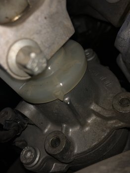 8AD03712-CA34-4094-A7B0-902C9AEC4864.jpeg