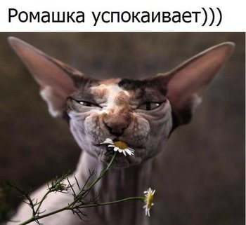 9FA62595-8C4F-4341-9E91-CF54DEE95ABA.jpeg
