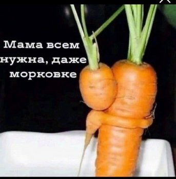 F53343B0-8BB5-4A4A-BC49-69104F471565.jpeg