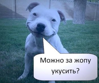 8EF5A1BB-DEB6-4054-994A-2571811BC3EF.jpeg