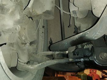 IMG_20191128_095325.jpg