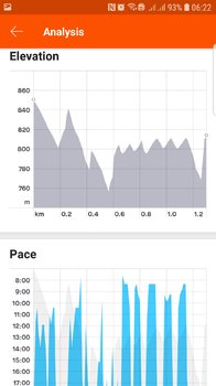 Screenshot_20191212-062206_Strava.jpg