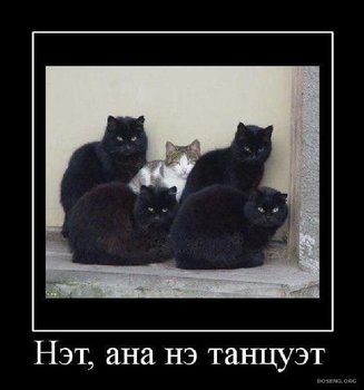 D32A8280-C443-4272-BC4B-C84C44233C10.jpeg