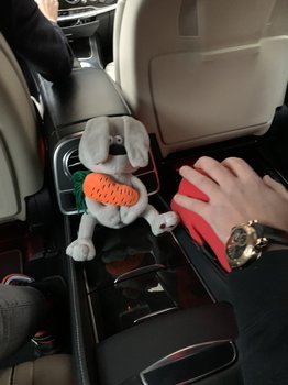 0E160853-EE7E-4435-AB2C-830A9E2F8CA3.jpeg