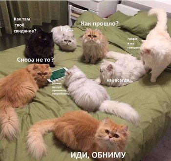 B3E056EB-E4C0-4F1F-A9A5-0372A74752DB.jpeg