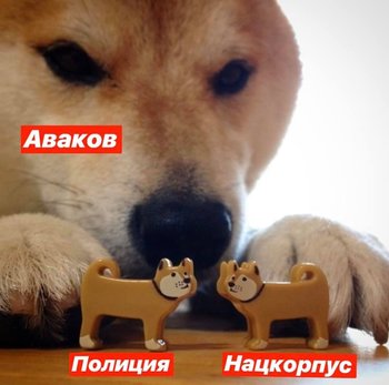 450F8C77-8C5C-47C8-ADB9-F24761DE8BB6.jpeg