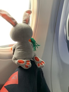 2E522297-BE65-4D3C-8159-C918EFF320C0.jpeg